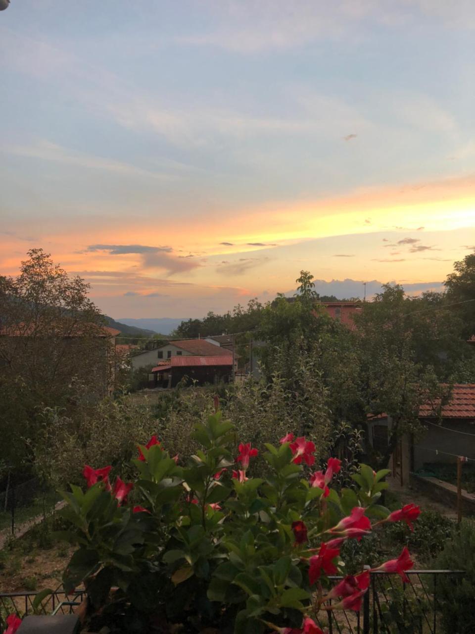 קיוזי דלה ורנה Albergo Ristorante Letizia מראה חיצוני תמונה
